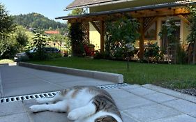 Gästezimmer Schupanez